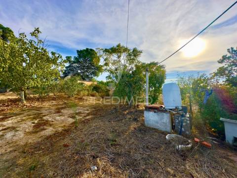 Monte alentejano para recuperar com 6ha