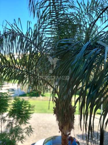 Vilamoura - apartamento com piscina e 2 lugares de estacionamento