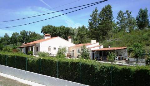 Quinta com piscina, pomar e vinha – pronta a habitar em alagoa (portalegre) ☀️
