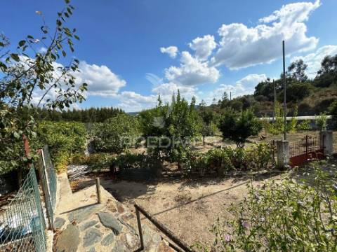 Quinta com piscina, pomar e vinha – pronta a habitar em alagoa (portalegre) ☀️