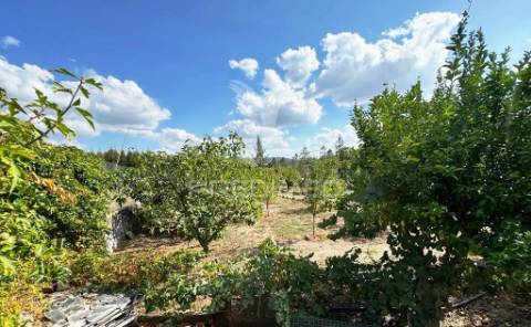 Quinta com piscina, pomar e vinha – pronta a habitar em alagoa (portalegre) ☀️