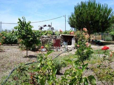 Quinta com piscina, pomar e vinha – pronta a habitar em alagoa (portalegre) ☀️