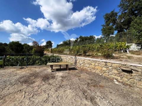 Quinta com piscina, pomar e vinha – pronta a habitar em alagoa (portalegre) ☀️