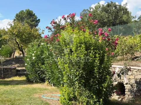 Quinta com piscina, pomar e vinha – pronta a habitar em alagoa (portalegre) ☀️