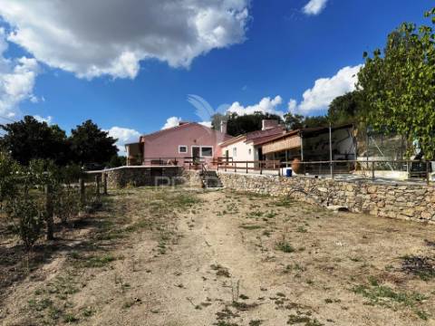 Quinta com piscina, pomar e vinha – pronta a habitar em alagoa (portalegre) ☀️