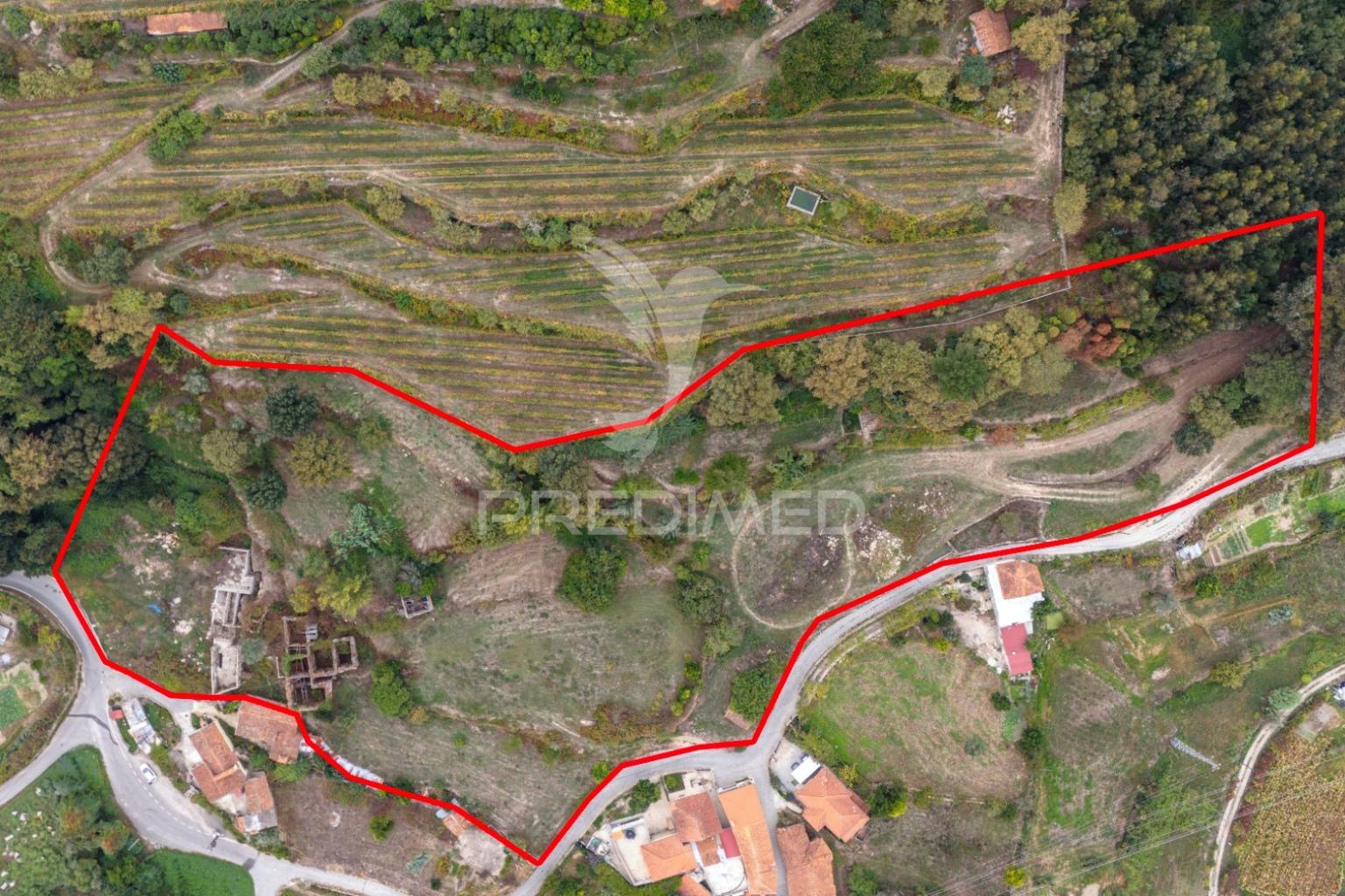 Quinta histórica do século xix – antigo convento de frades em boelhe, penafiel