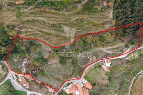 Quinta histórica do século xix – antigo convento de frades em boelhe, penafiel