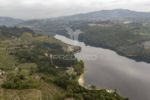 Quinta histórica do século xix – antigo convento de frades em boelhe, penafiel