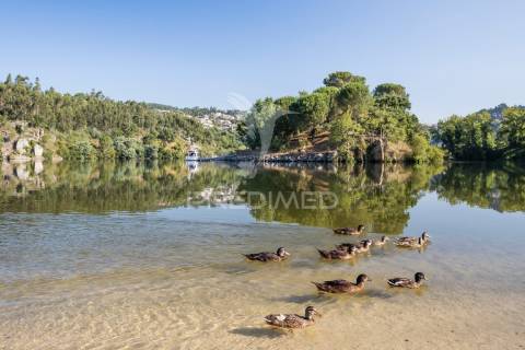 Quinta histórica do século xix – antigo convento de frades em boelhe, penafiel