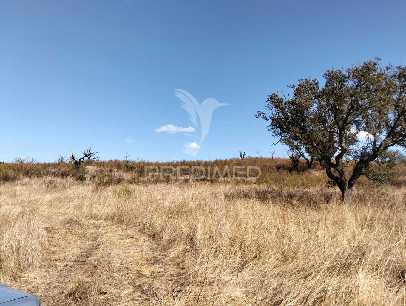Terreno rústico com 4,45000(ha) - rosário, alandroal