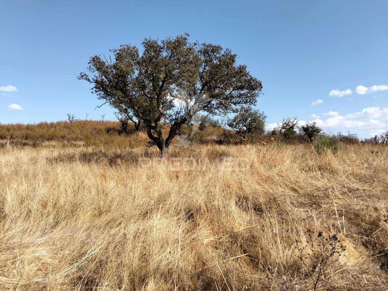 Terreno rústico com 4,45000(ha) - rosário, alandroal