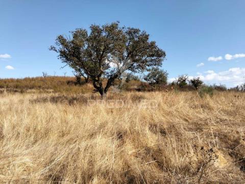 Terreno rústico com 4,45000(ha) - rosário, alandroal