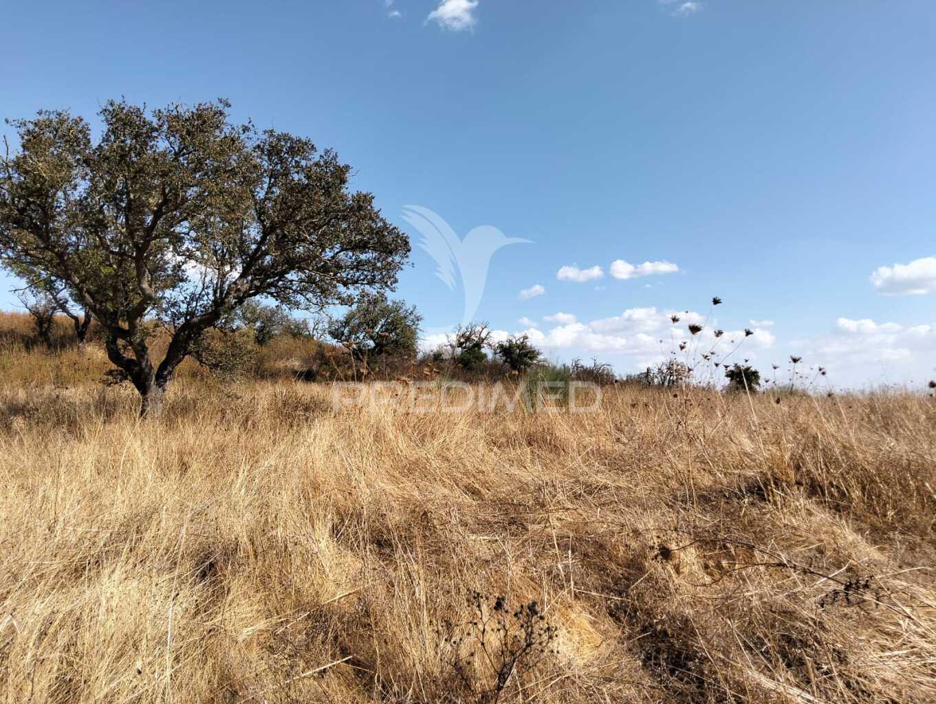 Terreno rústico com 4,45000(ha) - rosário, alandroal