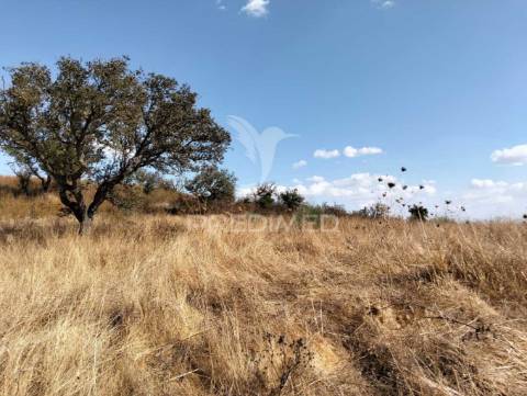 Terreno rústico com 4,45000(ha) - rosário, alandroal
