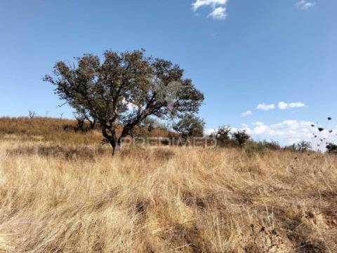 Terreno rústico com 4,45000(ha) - rosário, alandroal