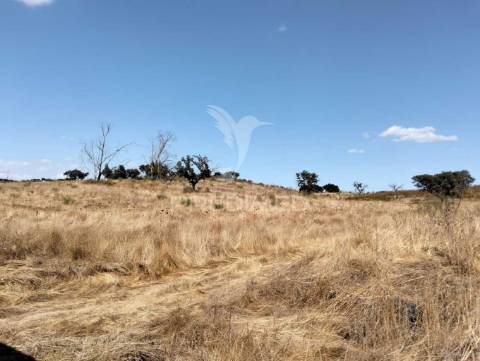 Terreno rústico com 4,45000(ha) - rosário, alandroal