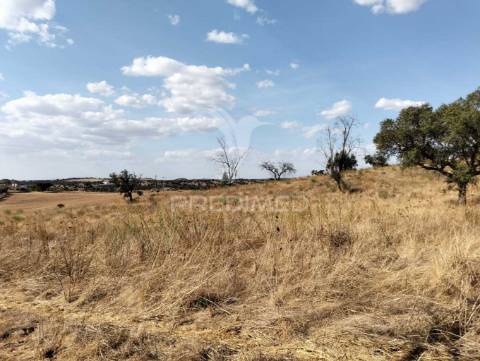 Terreno rústico com 4,45000(ha) - rosário, alandroal