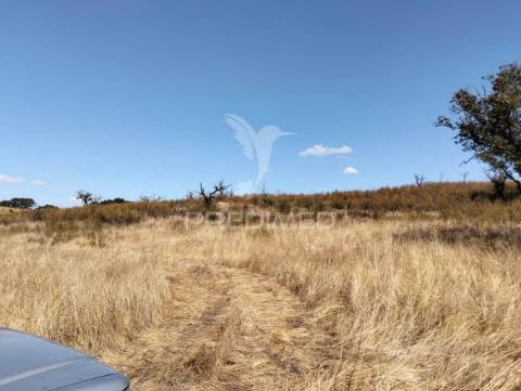 Terreno rústico com 4,45000(ha) - rosário, alandroal