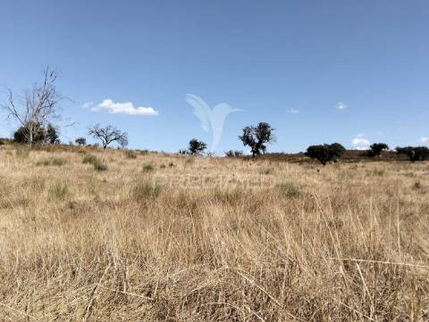 Terreno rústico com 4,45000(ha) - rosário, alandroal