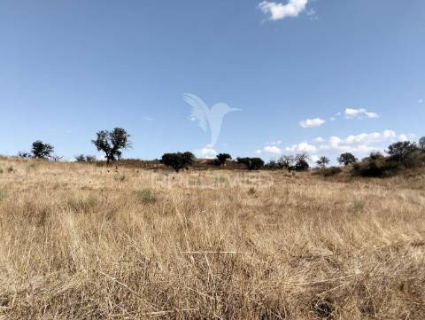 Terreno rústico com 4,45000(ha) - rosário, alandroal