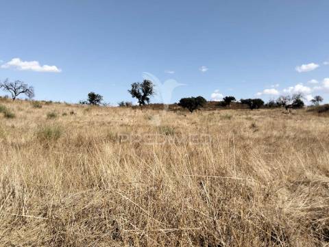Terreno rústico com 4,45000(ha) - rosário, alandroal