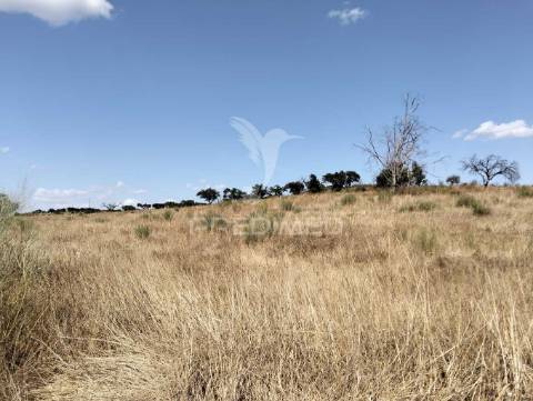 Terreno rústico com 4,45000(ha) - rosário, alandroal