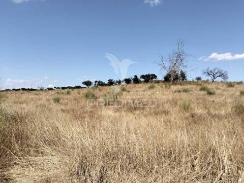 Terreno rústico com 4,45000(ha) - rosário, alandroal