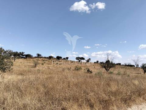 Terreno rústico com 4,45000(ha) - rosário, alandroal