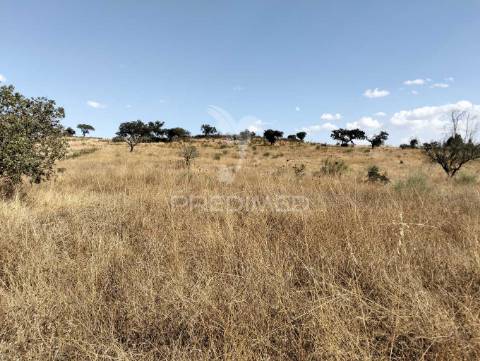 Terreno rústico com 4,45000(ha) - rosário, alandroal