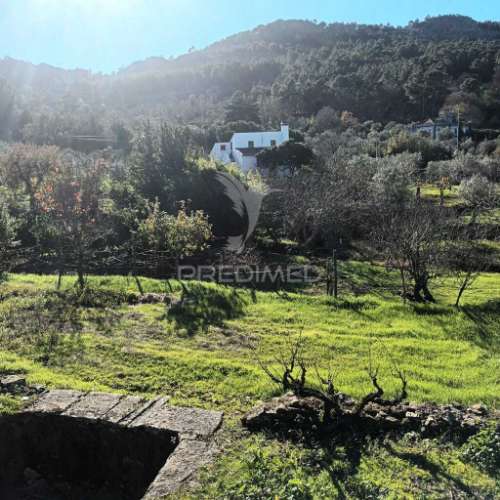 Quinta agricola