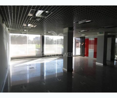 Loja de comercio em carrgal do sal  ,currelos, papizios e sobral