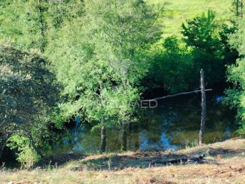 Terreno rústico em moinho de meixedo – frente ao rio sabor | parque natural de montesinho | perto da fronteira espanhola