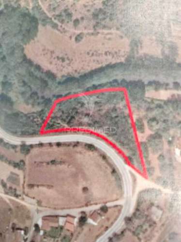 Terreno rústico em moinho de meixedo – frente ao rio sabor | parque natural de montesinho | perto da fronteira espanhola