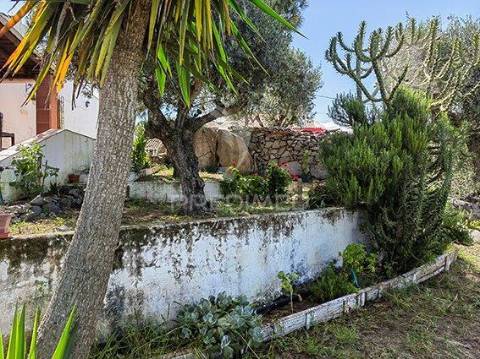 Monte alentejano para venda