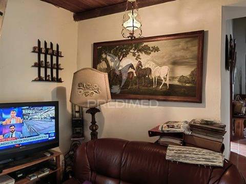 Monte alentejano para venda