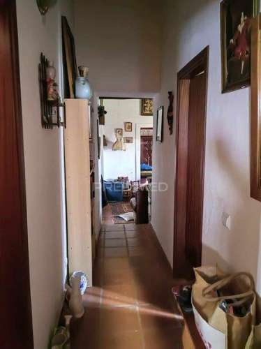 Monte alentejano para venda