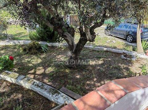 Monte alentejano para venda