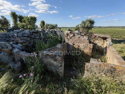 Monte alentejano para venda