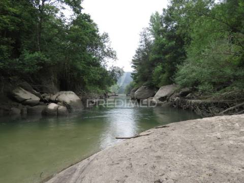 Terreno – 24.000 m²  com frente de rio, ancoradouro e pequena praia