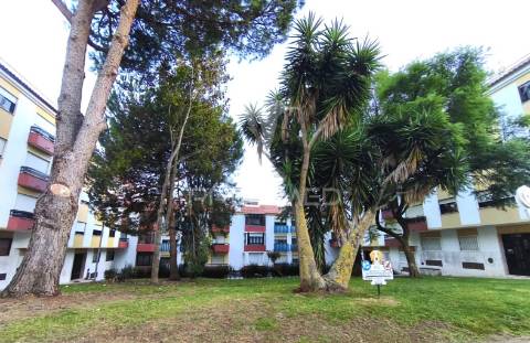 Apartamento t2 | amadora | mina de água