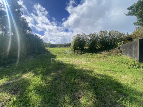 Moradia t3 em fase de reconstrução com projeto aprovado – norte grande