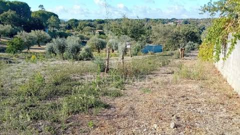 Terreno para construção em coroados