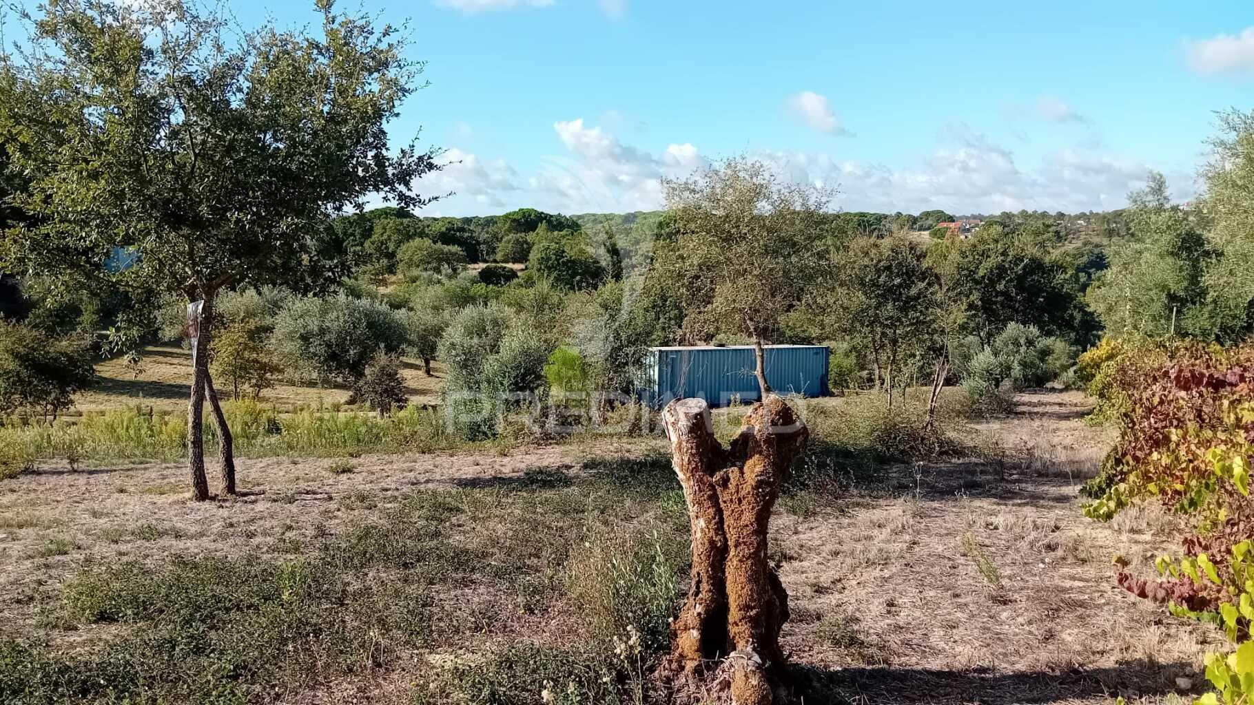 Terreno para construção em coroados