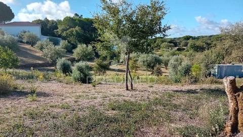 Terreno para construção em coroados