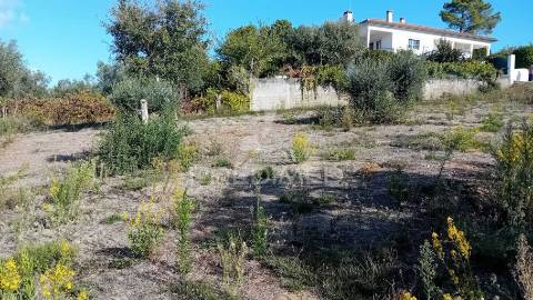 Terreno para construção em coroados