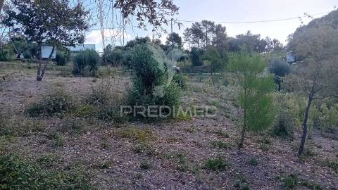 Terreno para construção em coroados