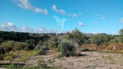 Terreno para construção em coroados