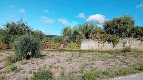 Terreno para construção em coroados