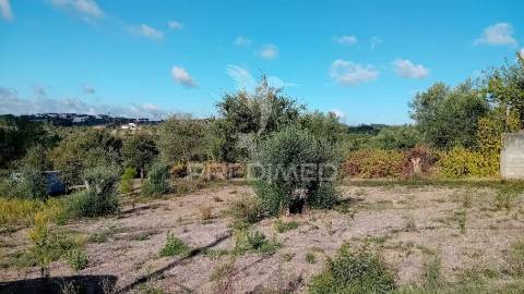 Terreno para construção em coroados