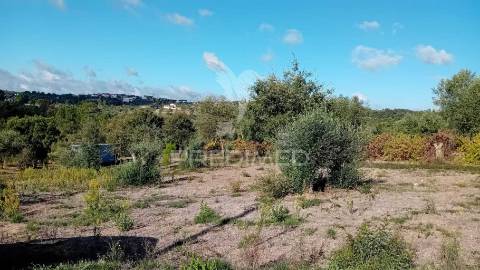 Terreno para construção em coroados